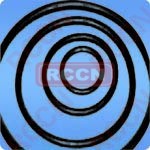 O-RING