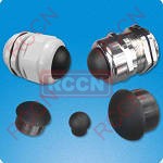 RCCN SPT Thread Conversion Fittings